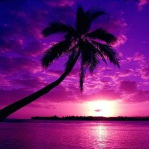 Meet your Posher, Disha